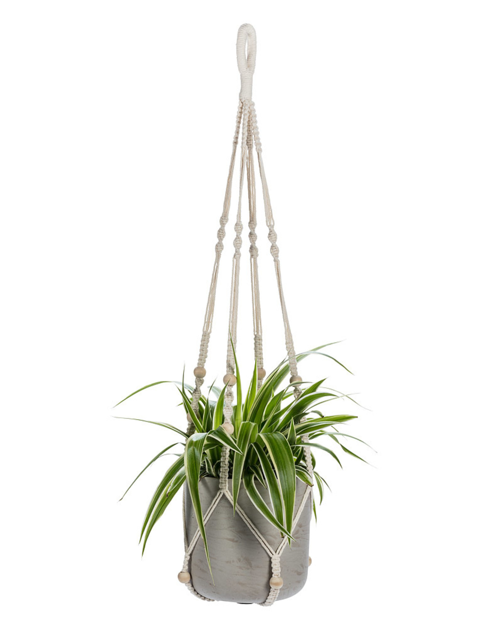 Macrame Plant Hanger w/Beads 34"