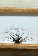 Framed Print-8x10-Dandelion