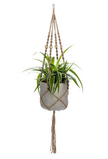 Macrame Plant Hanger w/Tail & Beads 42"