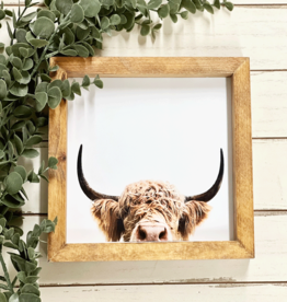 Framed Print-8x8-Highland Peeking Cow