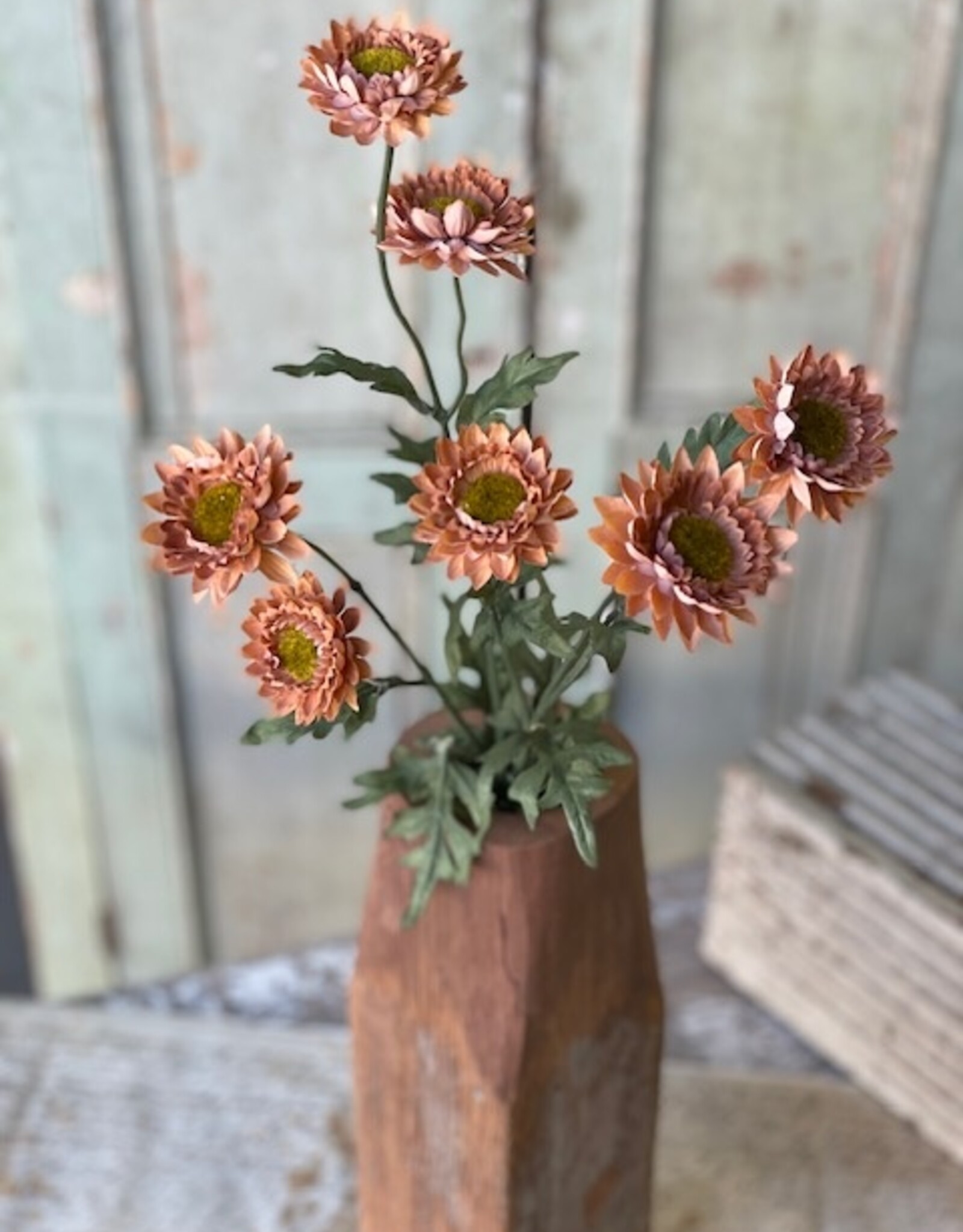 Horizon Blooms Stem, Ochre