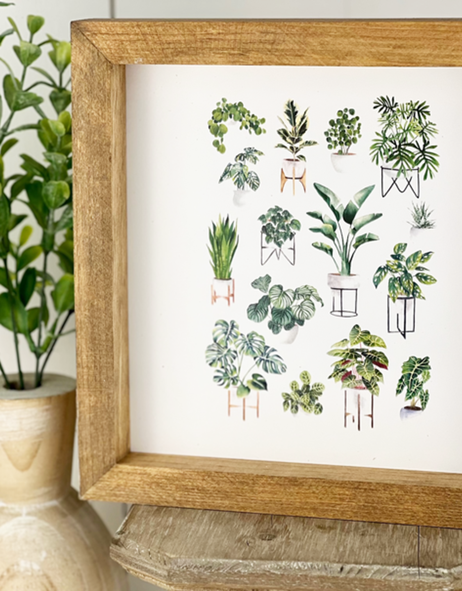 Framed Print- 8x8 House Plants