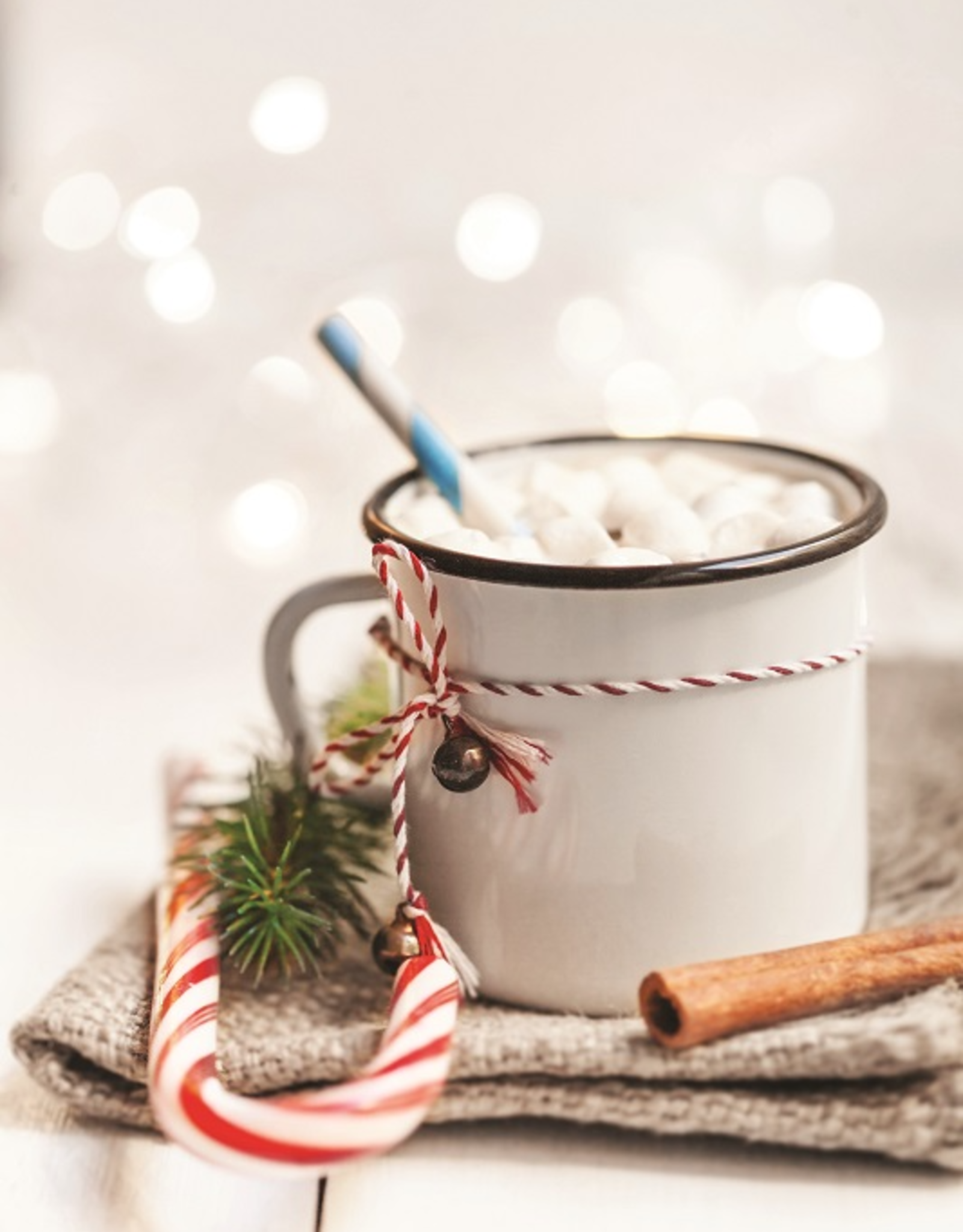 Gourmet Village Hot Chocolate-NSA Candy Cane