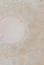 Suntree Soaps Bath Bomb-Lemongrass Orange Suntree Soaps Bath Bomb-Lemongrass Orange