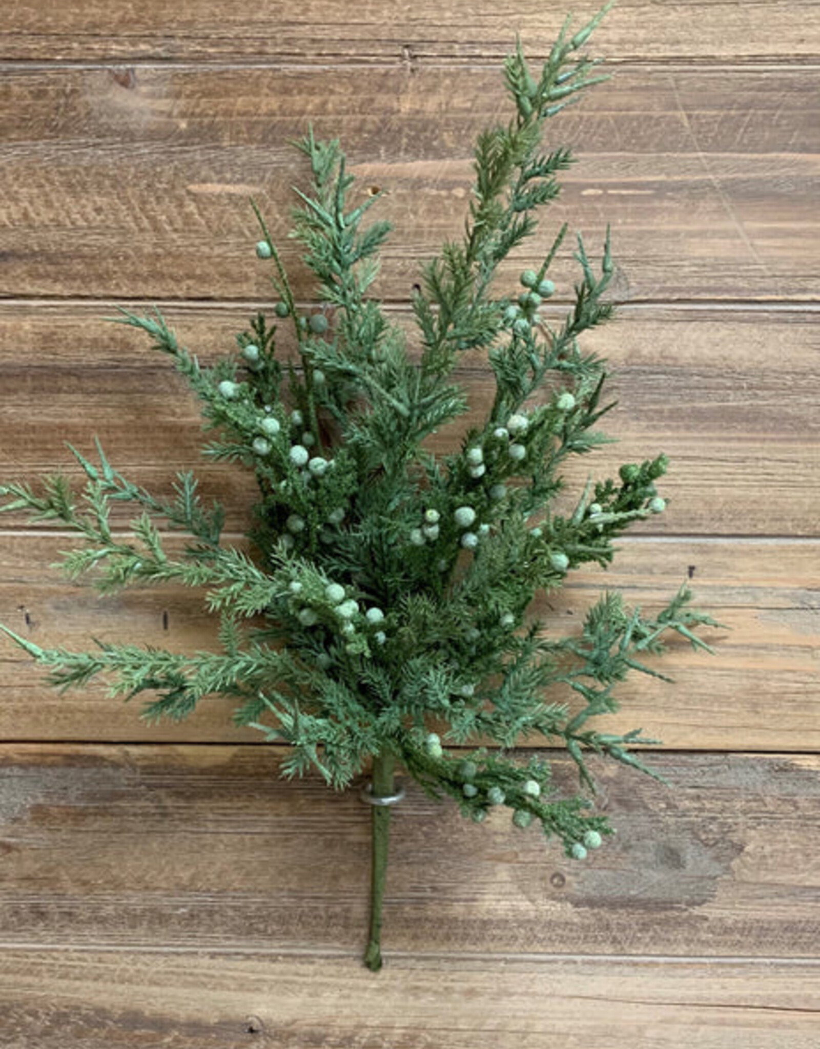 Tri W Common Juniper Bush 15"