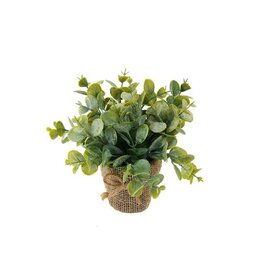 Koppers Burlap Planter w/Eucalyptus