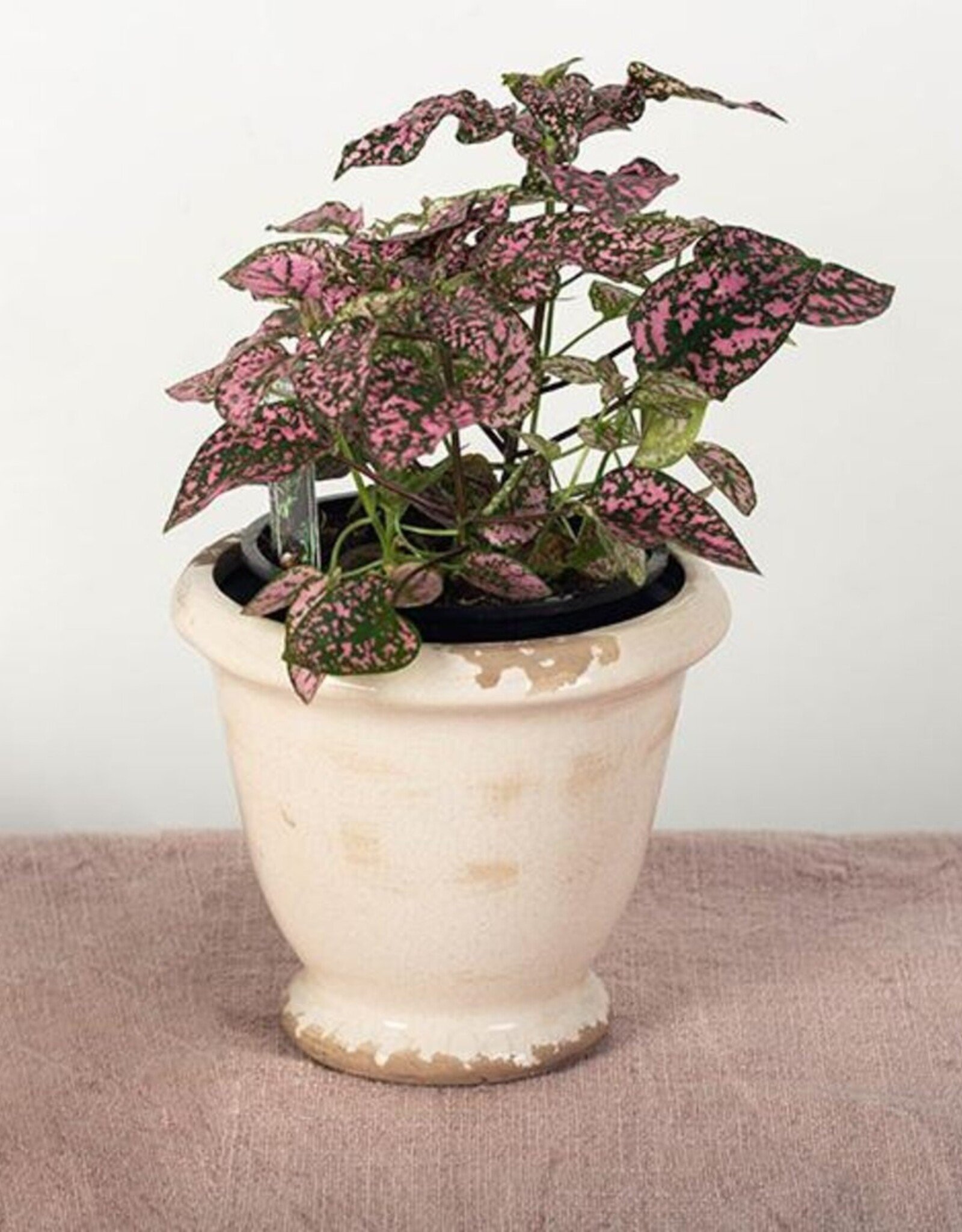 Forpost Trade Glazed Ceramic Flower Pot