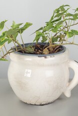 Forpost Trade Glazed Ceramic Flower Pot, Small