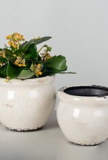 Forpost Trade Glazed Ceramic Flower Pot, Small