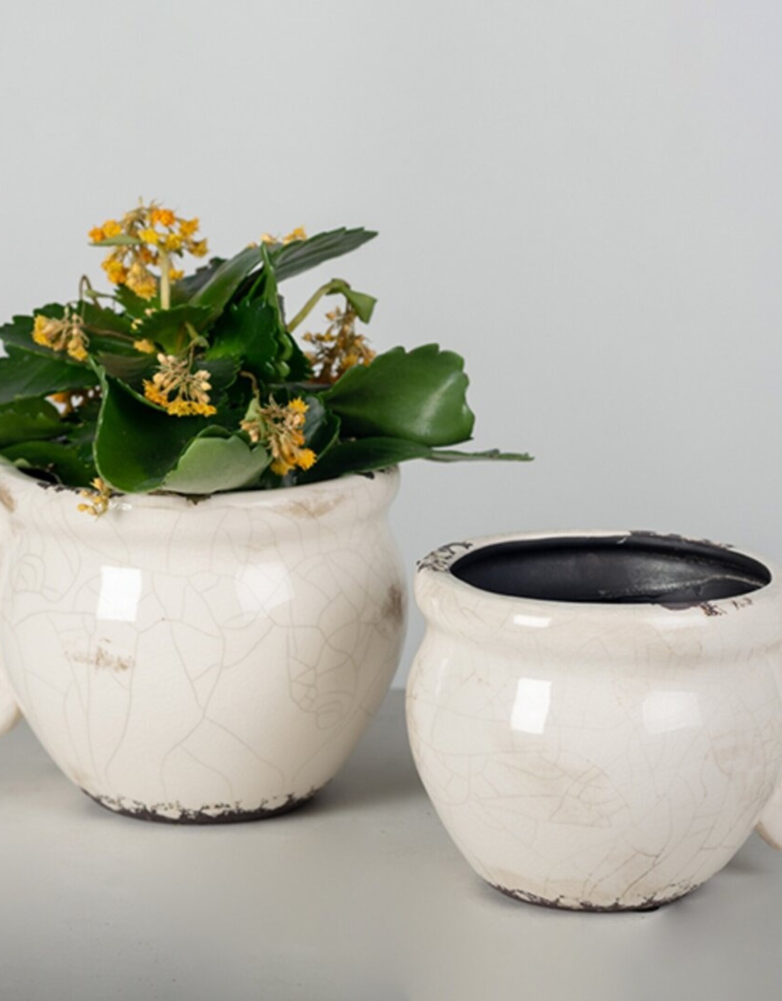 Forpost Trade Glazed Ceramic Flower Pot, Lrg