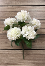 Tri W White Hydrangea Bush