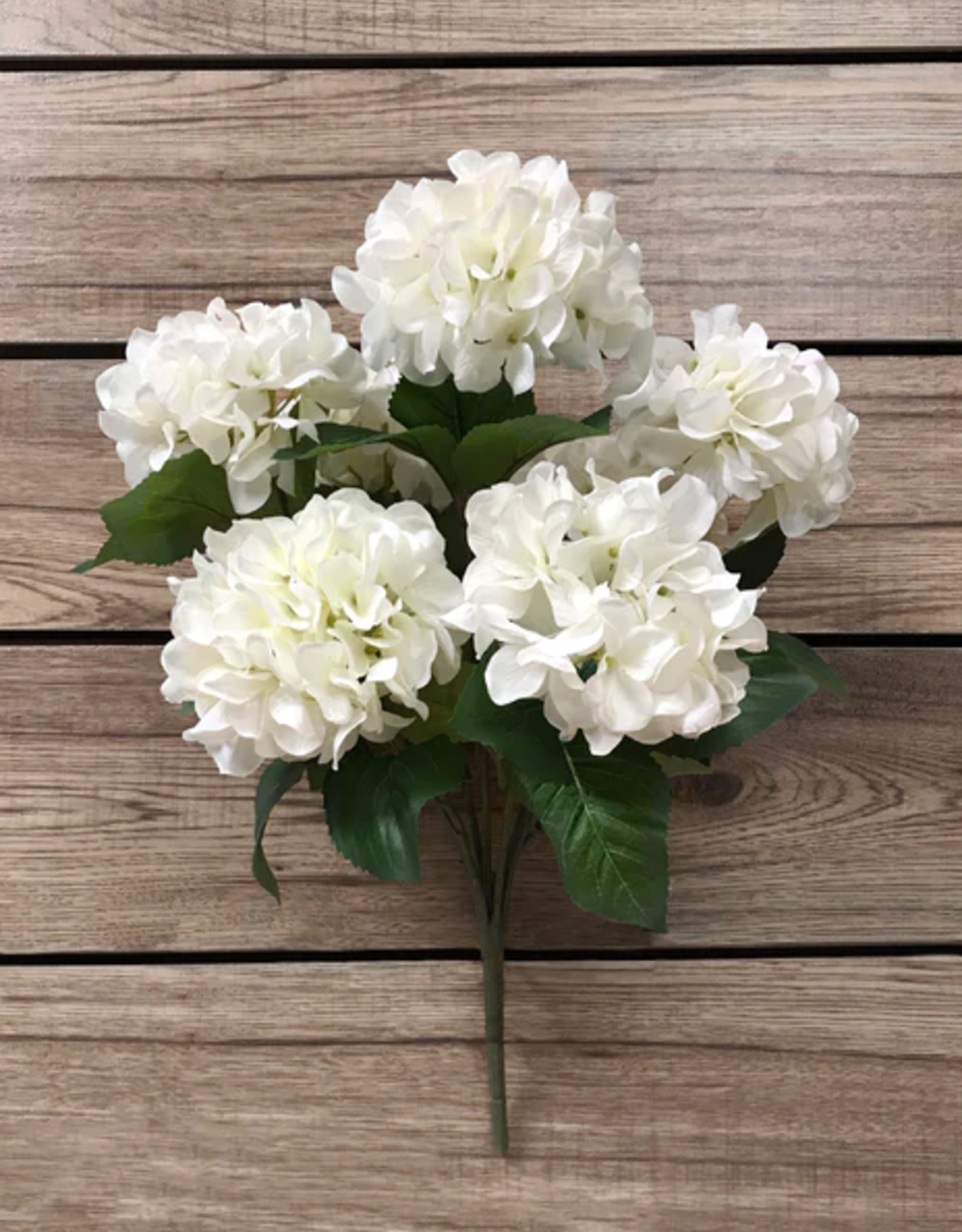 Tri W White Hydrangea Bush