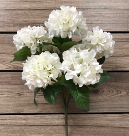 Tri W White Hydrangea Bush