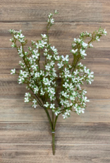 Tri W White Mini Flower Bush