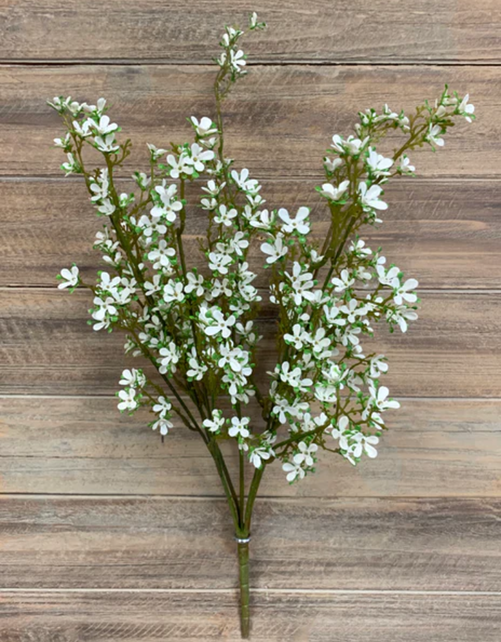 Tri W White Mini Flower Bush