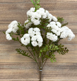 Tri W White Fresh Touch Sedum Cluster Bush