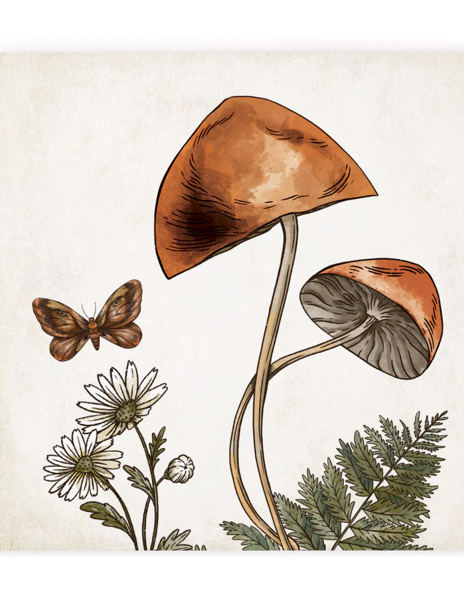 Coaster-Ceramic-Mushroom Butterfly