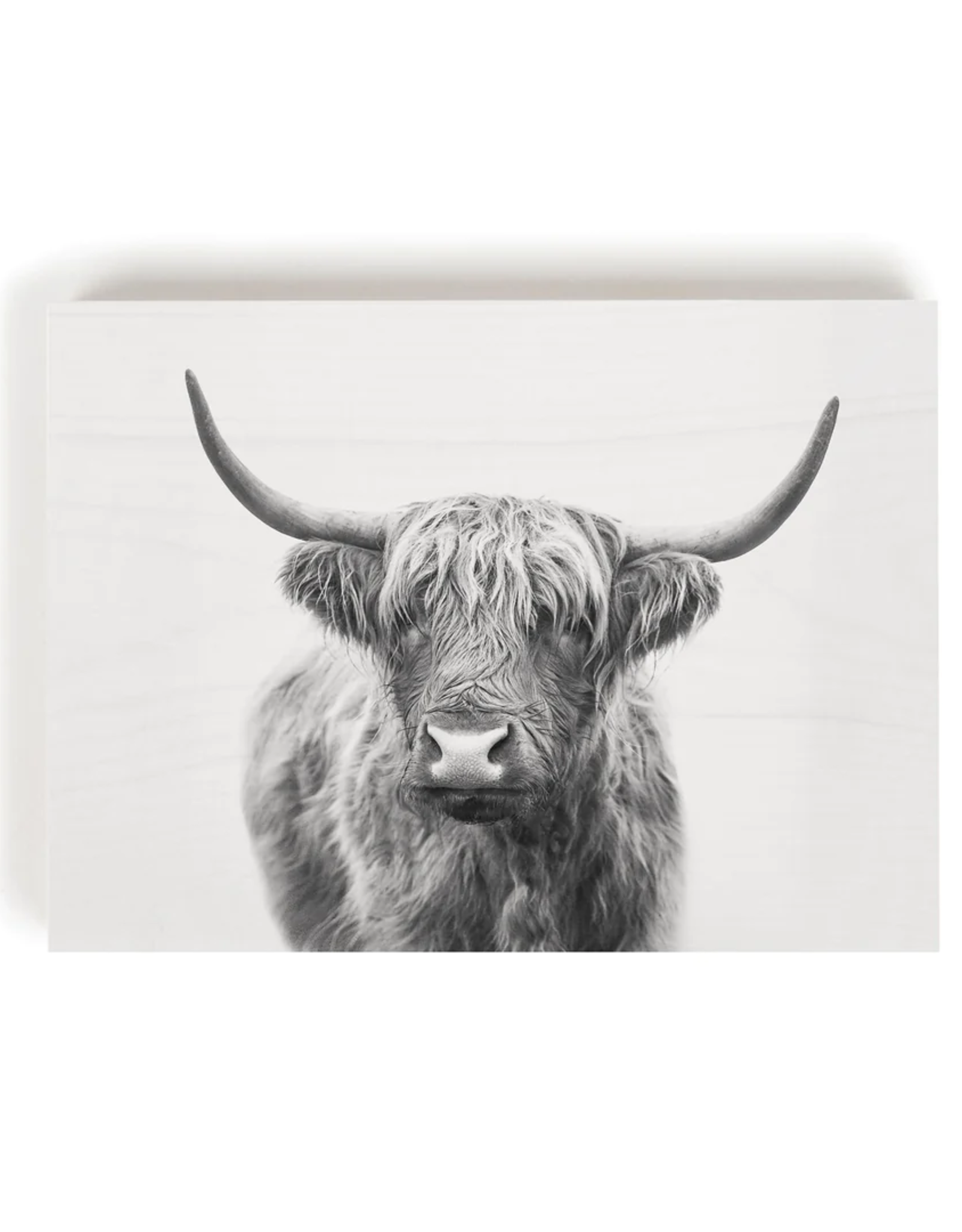 Block, Highland Cow