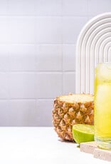Gourmet Village Drink Mix-Mojito-Pineapple Coconut