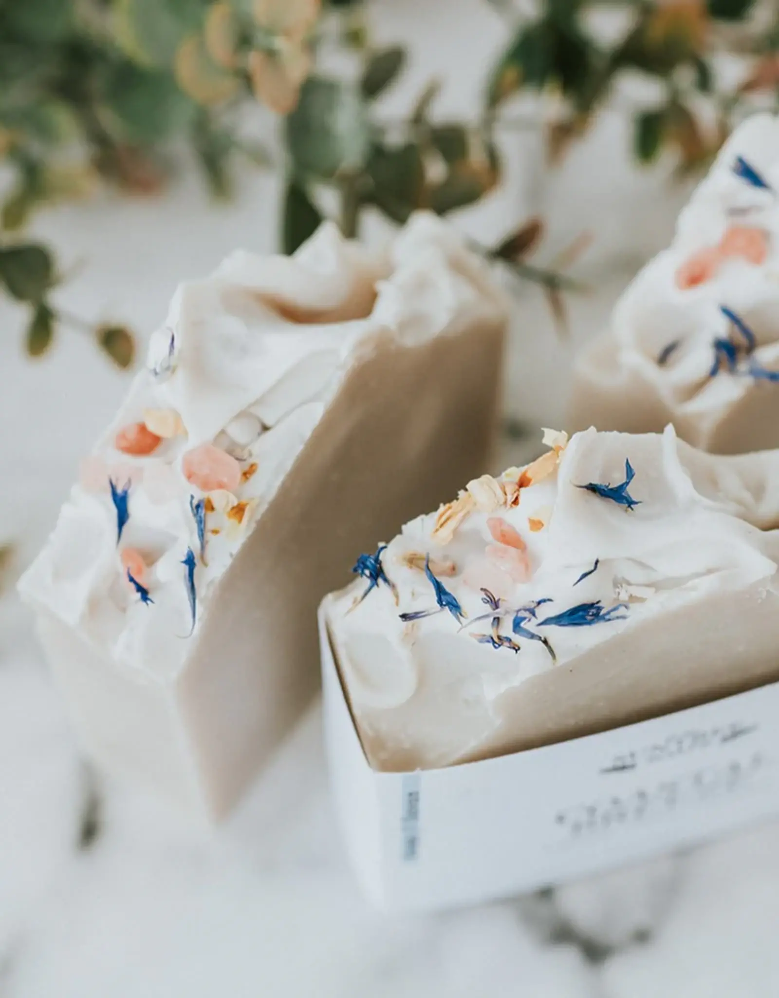 Suntree Soaps Bar Soap-Coastal Breeze