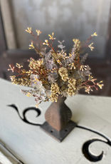 Autumn Haze Bush, Mustard