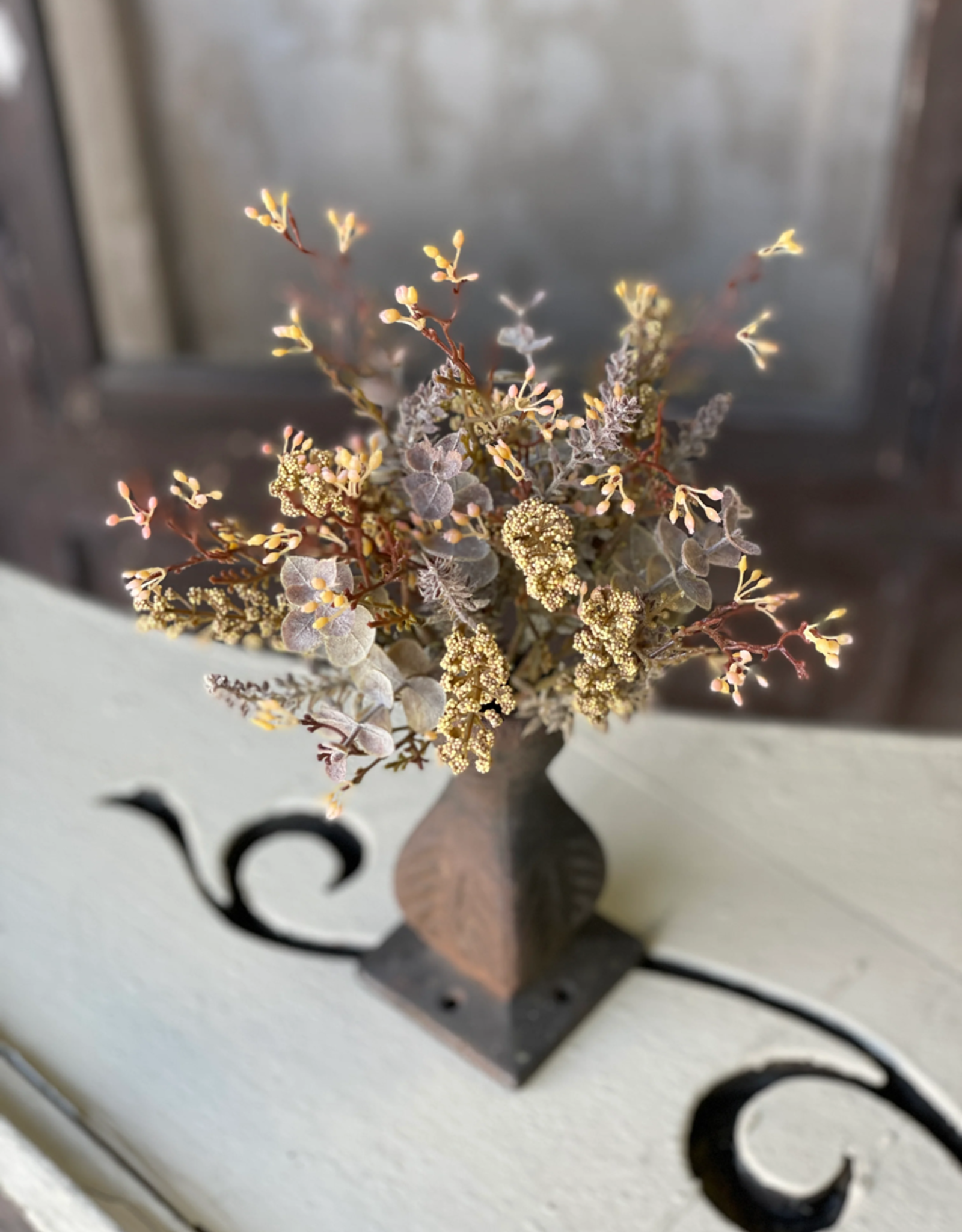 Autumn Haze Bush, Mustard