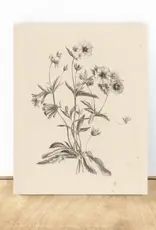 Pink Lemon Decor Vintage Art Print, 8x10-Flowers
