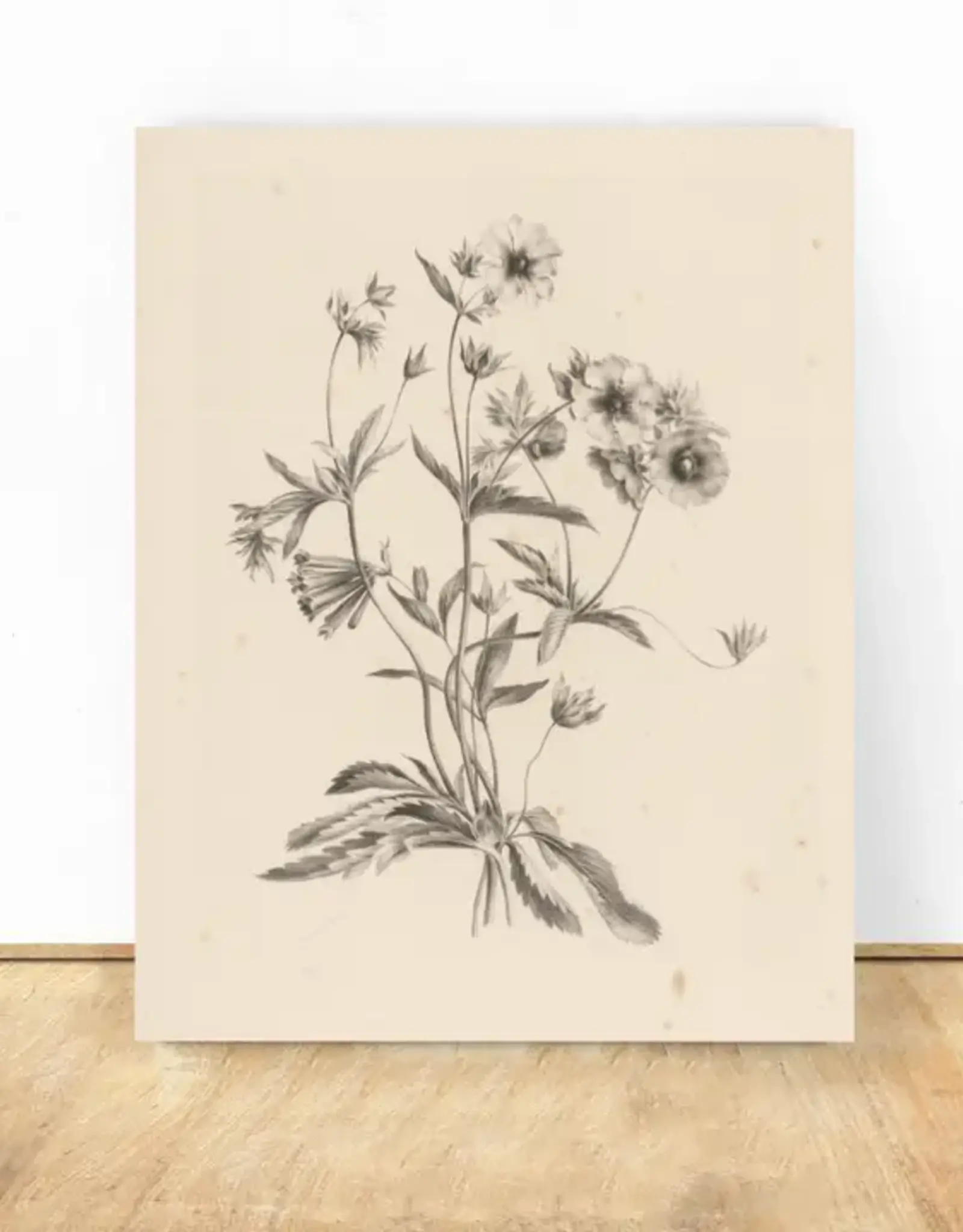 Pink Lemon Decor Vintage Art Print, 8x10-Flowers