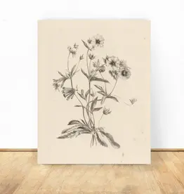 Pink Lemon Decor Vintage Art Print, 8x10-Flowers