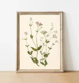 Pink Lemon Decor Vintage Art Print, 11x14-Wildflower