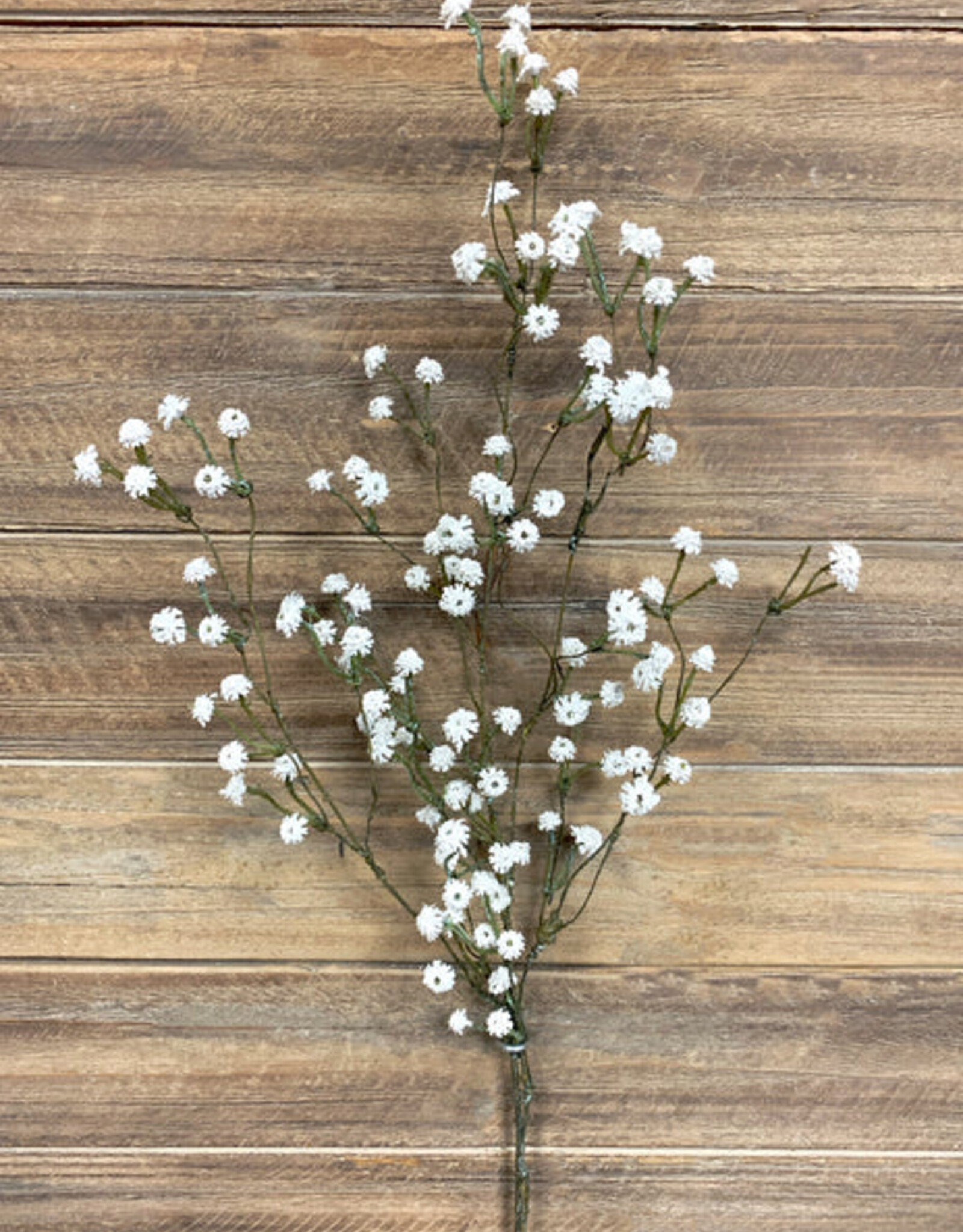 Tri W White Baby's Breath Bush