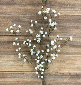 Tri W White Baby's Breath Bush