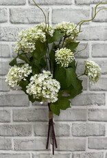 Tri W White Snowball Bundle