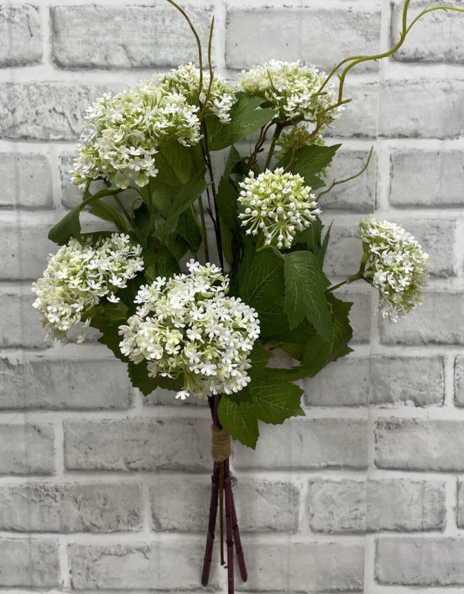 Tri W White Snowball Bundle