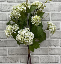 Tri W White Snowball Bundle