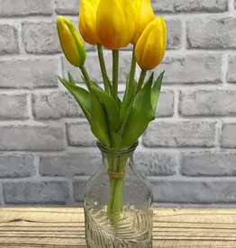 Tri W Fresh Touch  Yellow Tulip Bundle