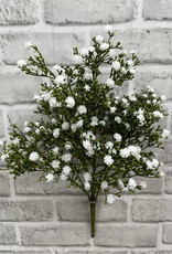 Tri W White Gypsophila Bush