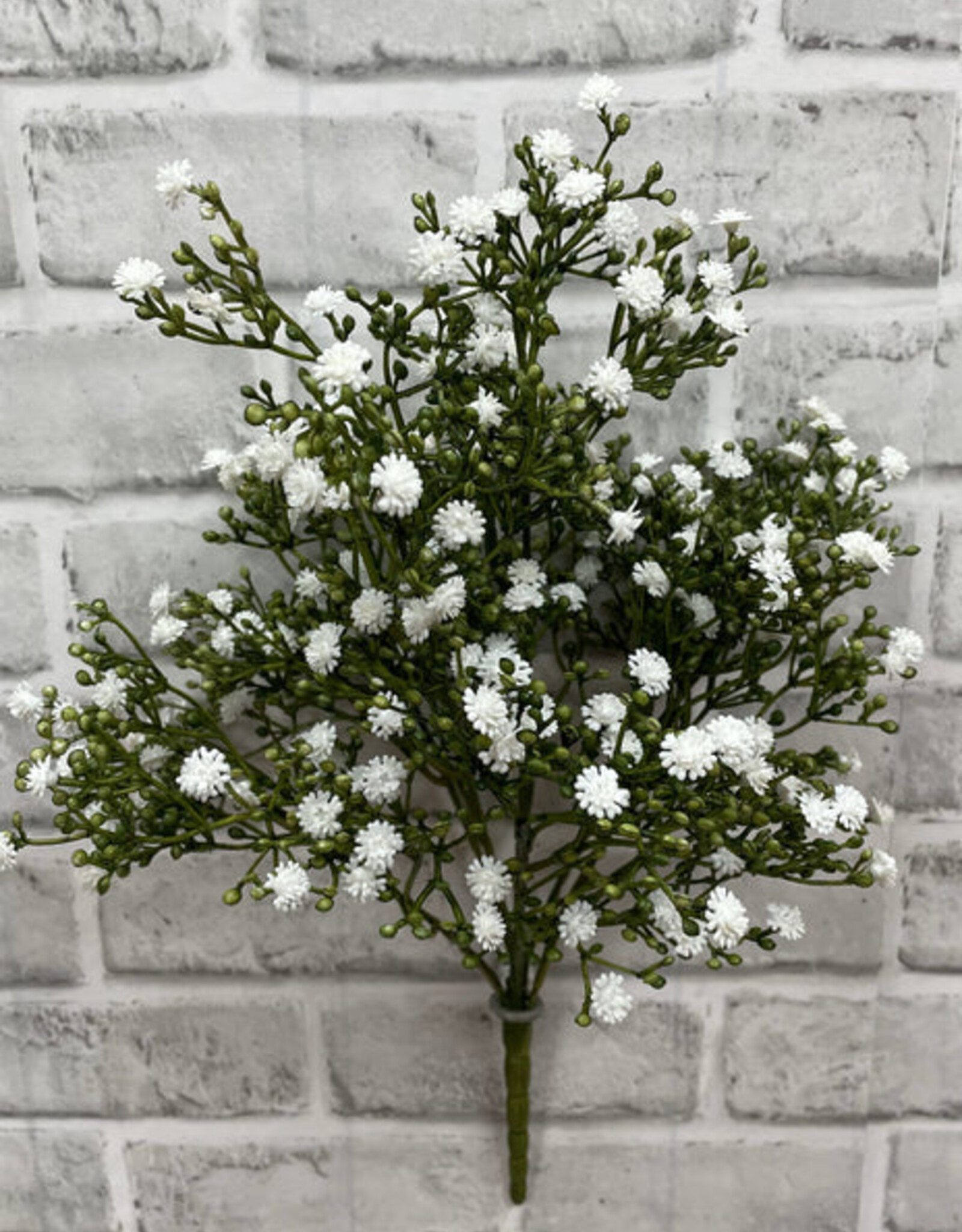Tri W White Gypsophila Bush