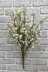 Tri W White Seedum Seed Bush