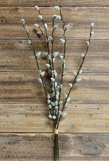 Tri W Pussy Willow Bundle