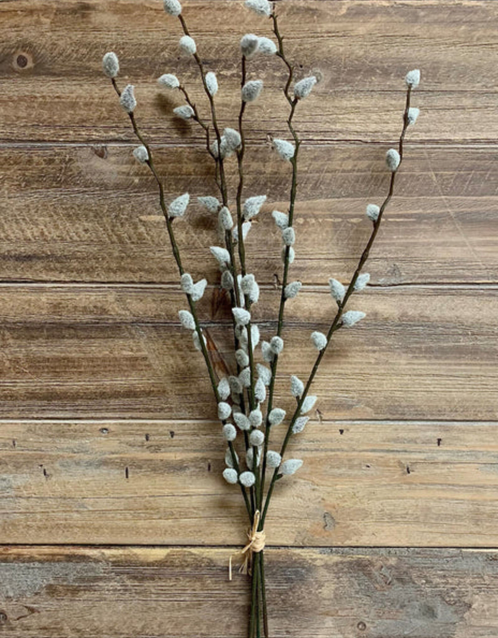 Tri W Pussy Willow Bundle
