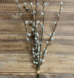 Tri W Pussy Willow Bundle