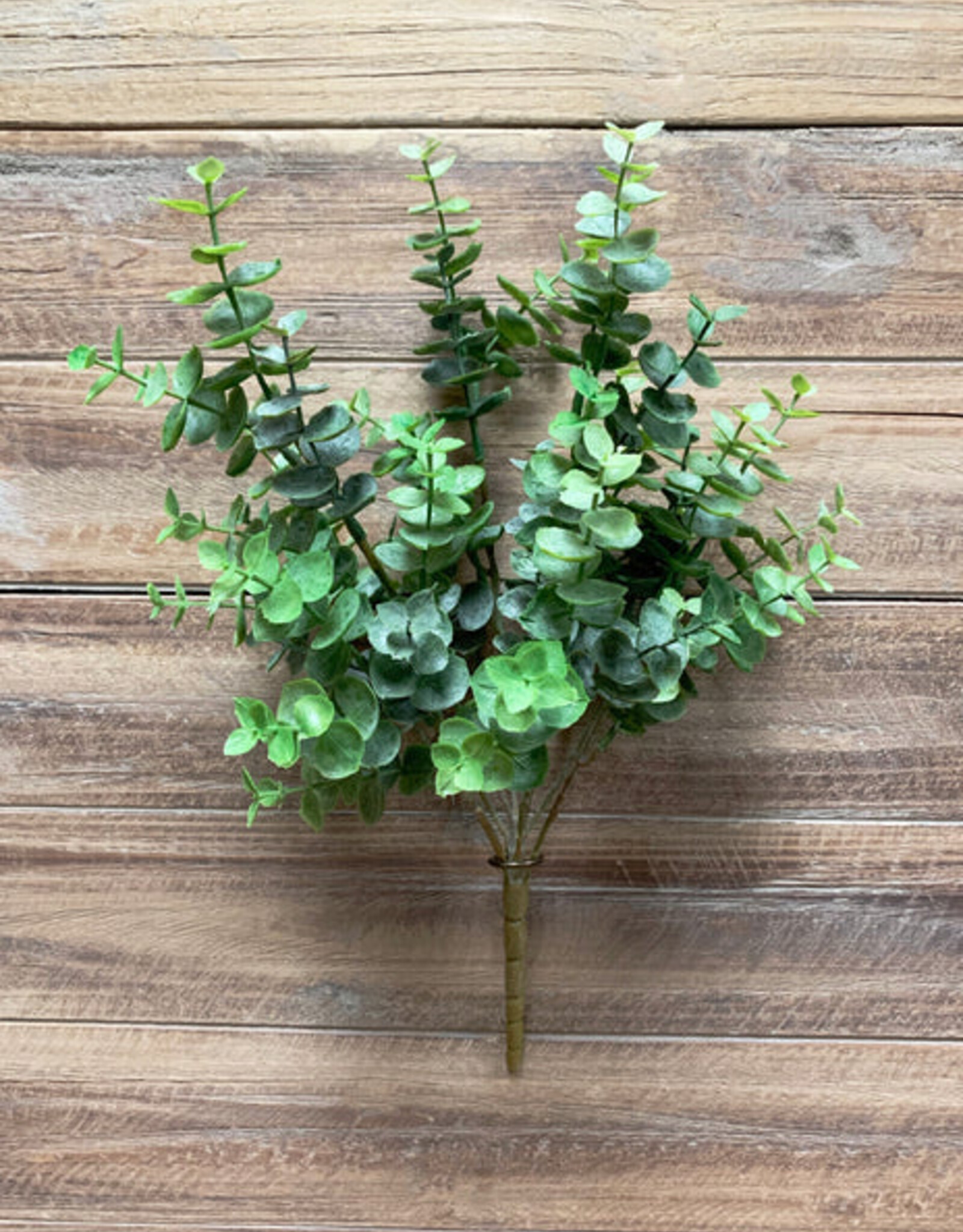 Tri W Eucalyptus Bush 15.5"