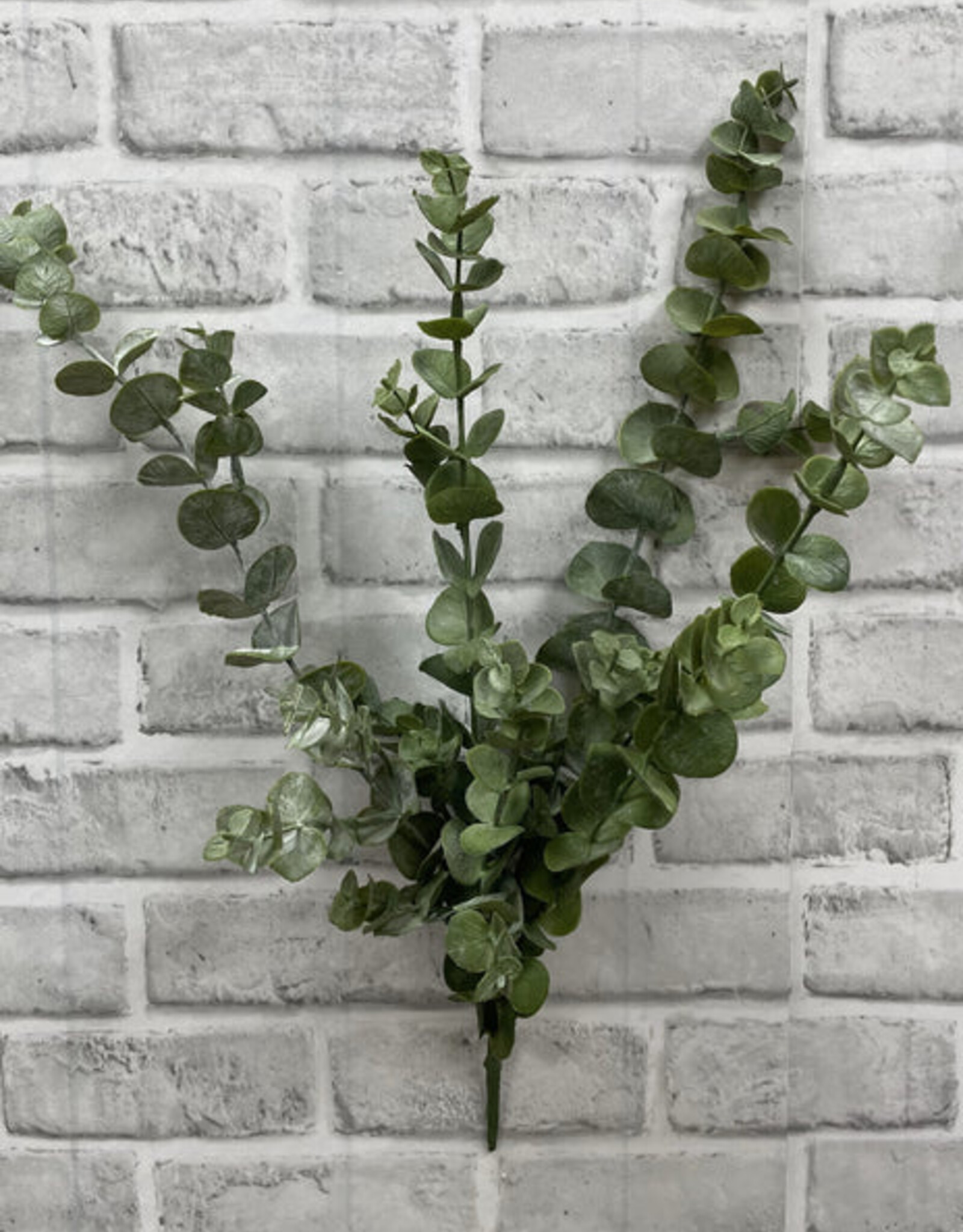 Tri W Fresh Touch Eucalyptus Bush