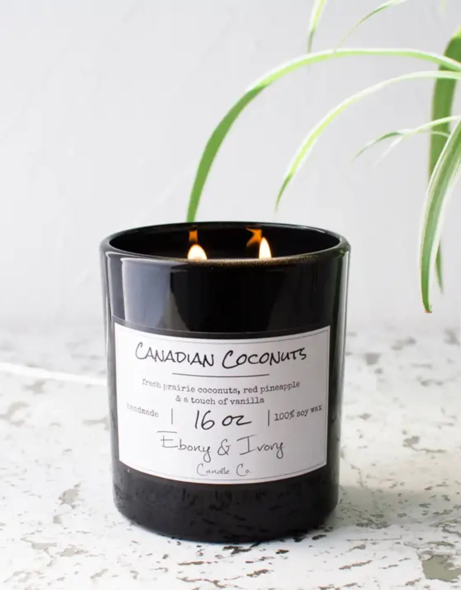 Ebony & Ivory Canadian Coconuts 16oz Candle