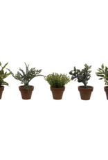Creative Coop Mini Potted Plant, Asstd