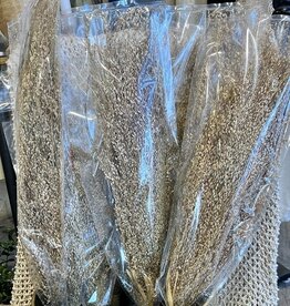 Creative Coop Dried Star Grass Bunch