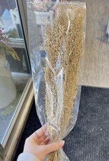 Creative Coop Dried Star Grass Bunch