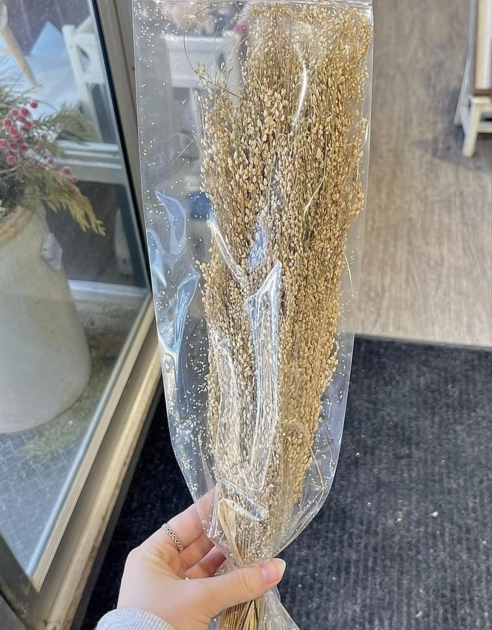 Creative Coop Dried Star Grass Bunch