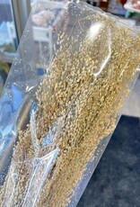 Creative Coop Dried Star Grass Bunch